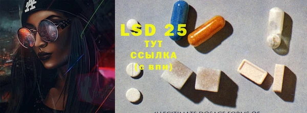 сатива Россошь