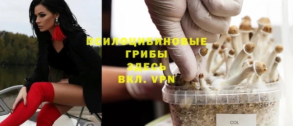 бутират Алексеевка