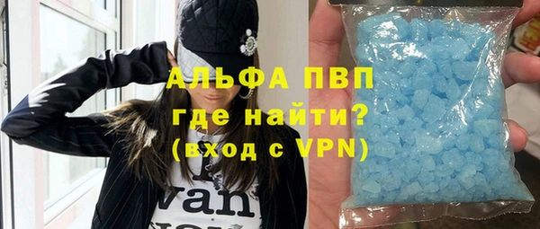 сатива Россошь